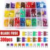 Набор из 300 шт. автомобильных предохранителей: 150 стандартных автомобильных предохранителей-лепестков и 150 мини-автомобильных предохранителей с пинцетом для извлечения предохранителей для автодома, кемпера, лодки, грузовика