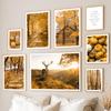 Autumn Sunrise Forest Deer House Pumpkin Rural Nordic Posters And Prints Wall Art Canvas Painting Decor Pictures For Living Room