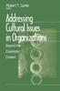 Книга Addressing Cultural Issues In Organizations : Beyond the Corporate Context
