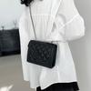 Small Square Bag Women 2024 Spring New Fashion Popular Cross-border Street Trend Chain Single Shoulder Diagonal Bag White/black/brown
