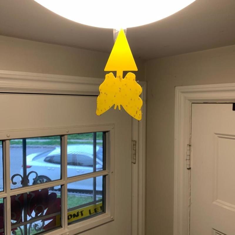 Новая липкая ловушка для фруктовых комаров, желтых липких ловушек для насекомых, ловушек для насекомых-вредителей, ловушек для насекомых