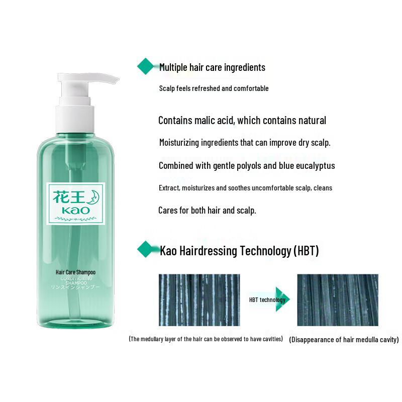 Kao Anxin Series Hair Care Shampoo