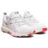 Asics Gel-Quantum 180 Празднование Спорта Набор 1202A253-960