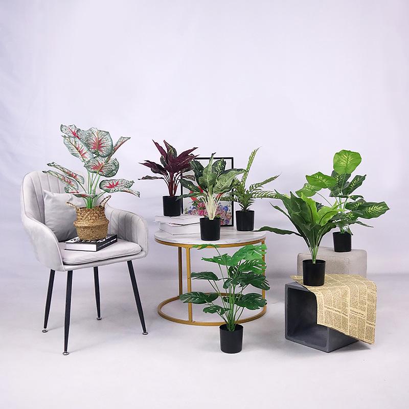 Potted Turtle Back Bonsai: Faux Floor Plant Decoration - Small Green Simulation Ornaments for Living Room