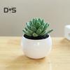 Пластиковые искусственные сочные анти-выцветания красивые маленькие поддельные растения в горшках настольные украшения