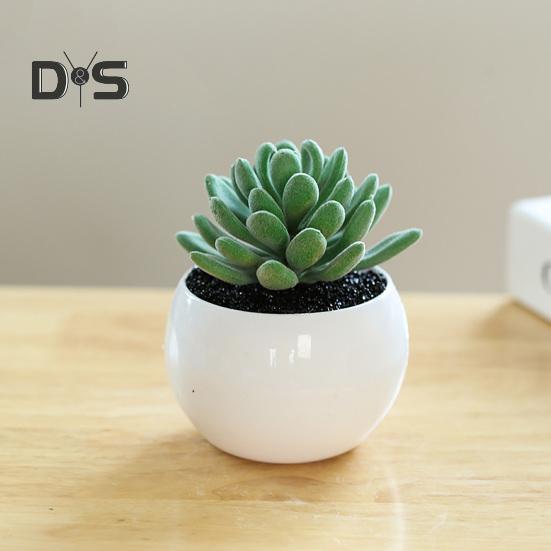 Пластиковые искусственные сочные анти-выцветания красивые маленькие поддельные растения в горшках настольные украшения