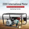 Rongyu 220V High-Pressure Electric Agricultural Sprayer