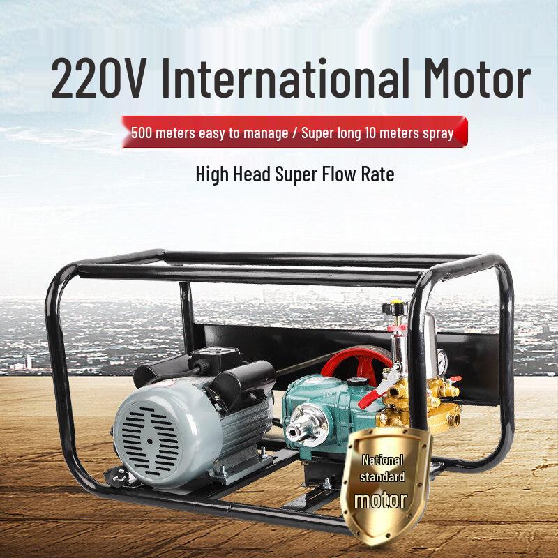 Rongyu 220V High-Pressure Electric Agricultural Sprayer