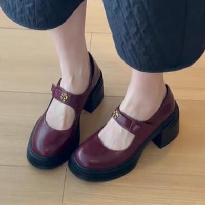 Модная обувь на высоком каблуке Мэри Джейн Женская обувь Массивная модная обувь для платья Элегантные женские туфли-лодочки 2025 Лето Роскошные вечерние сандалии для женщин