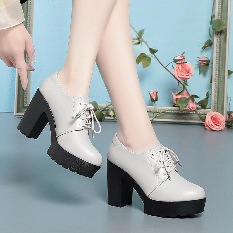 Temperament High Heels Women's Lace-up Shoes Waterproof Platform Thick-soled Ladies' Leather Shoes