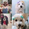 30Pcs Metal Clips Hair Bows Fully Lined Hair Accessories Lovely Children Hair Accessories  For Kids