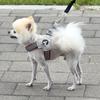 Нагрудный ремень для шлейки для собак Hello Pet Duom L-типа