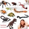 Bionic Remote-Controlled Animal Toy: Cockroach, Centipede, Frog, Crab, Prank Spider, Boa Constrictor, Mouse.