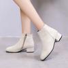Women's Winter Boots 2025 New Suede Dress Women Warm Boots Fashion Mid-Heel Wool Warm Women's Ankle Boots