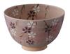 Kyoto Ware Kiyomizu Ware Hokuya Kiln Matcha Bowl Weeping Cherry Tree K3-10