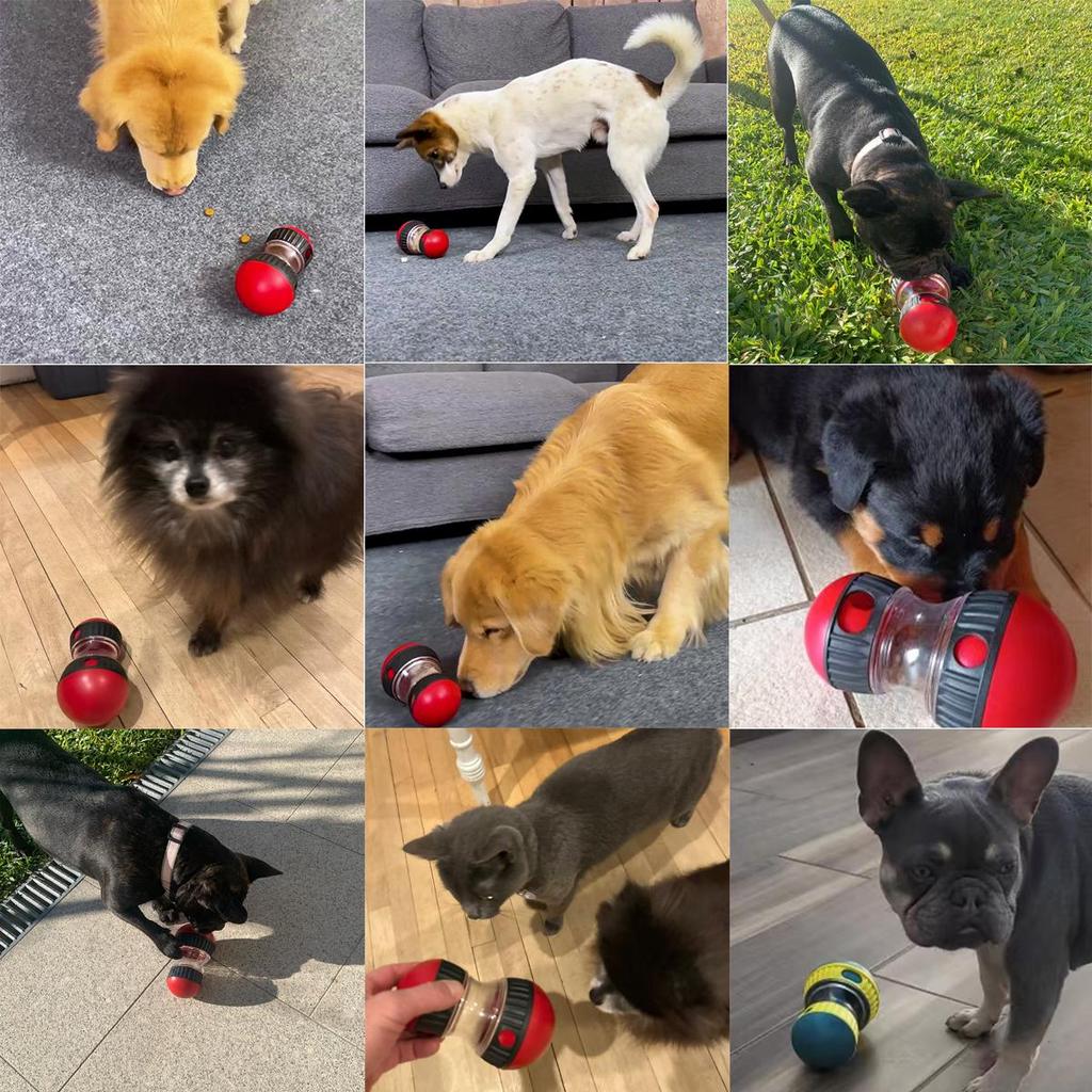 Улучшение интеллекта Игрушка для собак для маленьких, средних и больших собак, кошек Интерактивная медленная кормушка для щенков, мячик для игрушек, шнауцер, золотистый ретривер, кормушка для животных