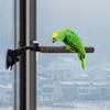 Подставка для птичьего окуня для попугаев и ара — прочный инструмент для дрессировки