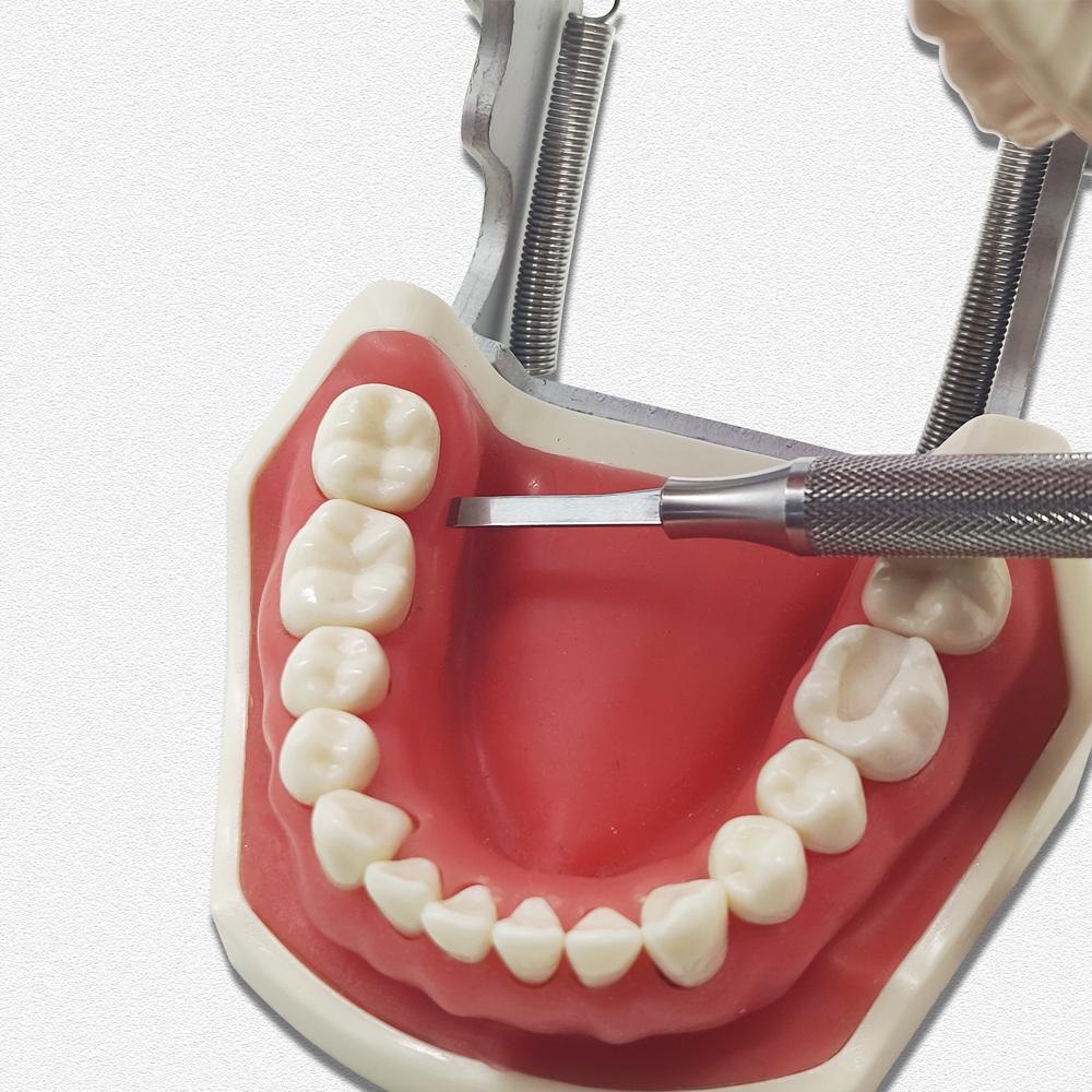 1 шт. Ручка микроскальпеля для хирургических стоматологических имплантатов из нержавеющей стали, держатель хирургических лезвий для стоматолога, инструменты