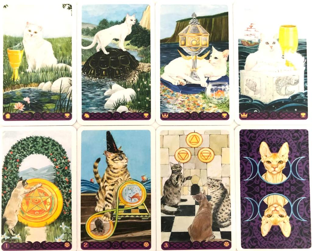 Tarot of Pagan Cats Waite 78 Miniature Tarot Includes Japanese Authentic Product I.I.J Mini, Edition, Cards, Cards, Instructions,