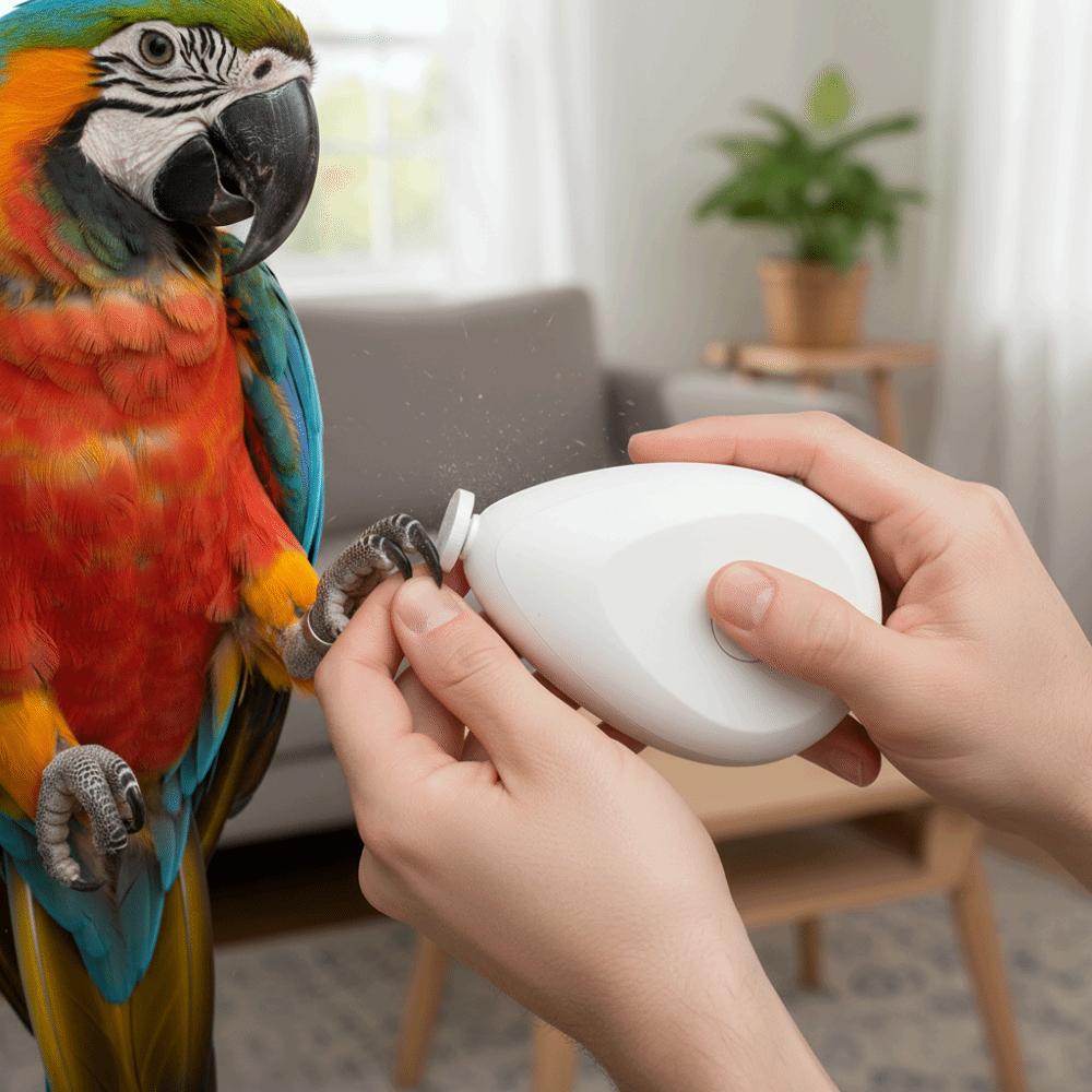 Portable Electric Parrot Nail Trimmer with 4 Polishing Heads Bird Nail Cutter Pet Grooming