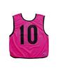 Molten Game Vest Fluorescent Pink Set 10-Piece 1-10 GB0113-PK
