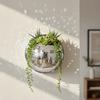 Half Sphere Disco Wall Vase Acrylic Mirror Finish Hydroponic Plant Container  Bar