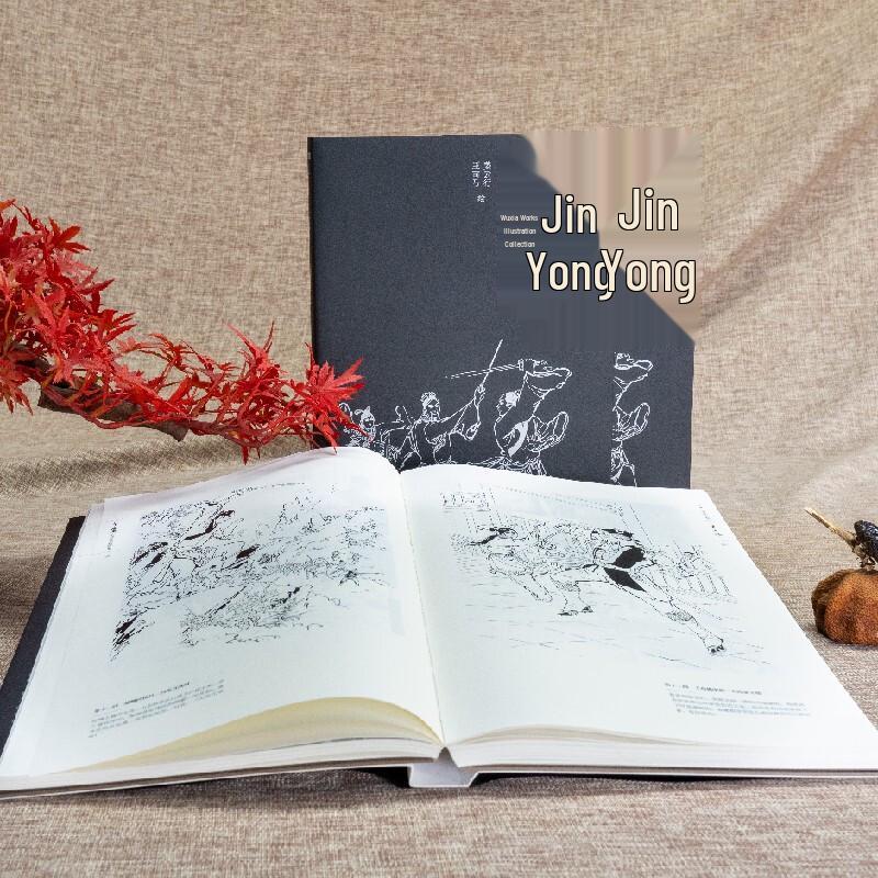 Jinyong Wuxia Novel Illustration Collection