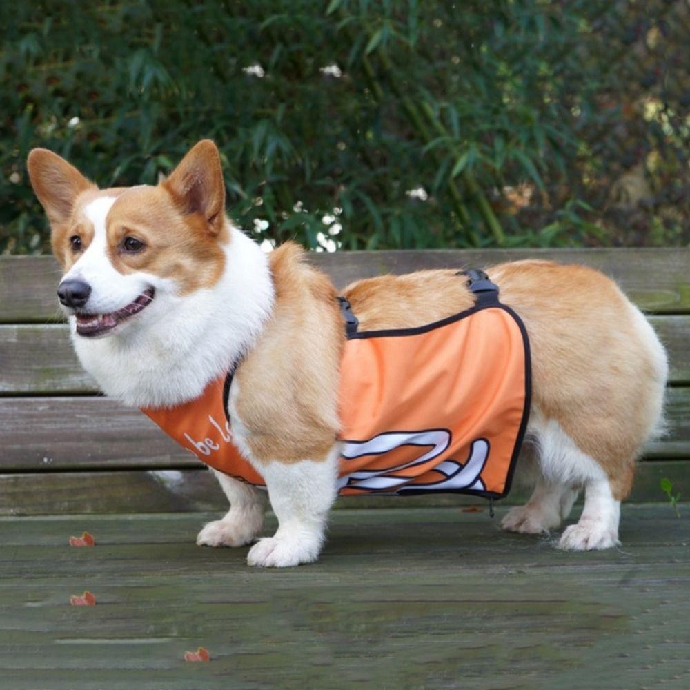 Breathable Dog Belly Protection Clothing Waterproof Dog Belly Pocket Training