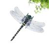 Jokes PVC 12cm Animal Model Dragonfly Action Figures Insects Model Dragonfly Model Animal Figures