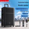 Портативная Bluetooth-колонка Newmine N528, 15 дюймов, штекер CN (адаптер в комплекте)