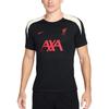 Ливерпуль. Специальное издание Strike Футбольная футболка Dri FIT Мужская HJ3388-013