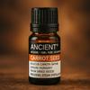 Carrot Seed Essential Oil Steam Distilled 10 Ml