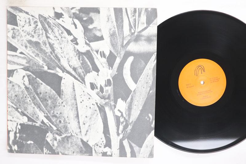 12-дюймовая пластинка INIT Wildcard HVN049 HIVERN DISCS 2018 Испания Танцевальная Электроника Б/у