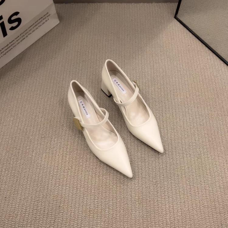 Spring and Autumn 2025 sub thick heel pointed single shoes women's retro French temperament high heels Mary Jane shoes new sense