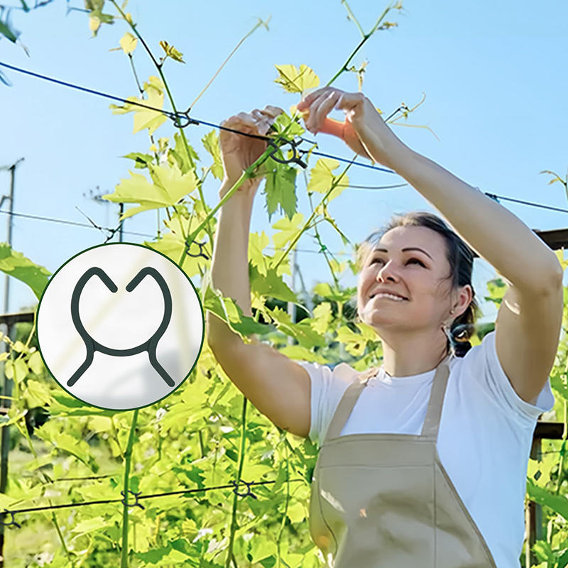 100/200 шт. зажимы для поддержки растений для вьющихся растений многоразовые зажимы для захвата садовых овощей и томатов