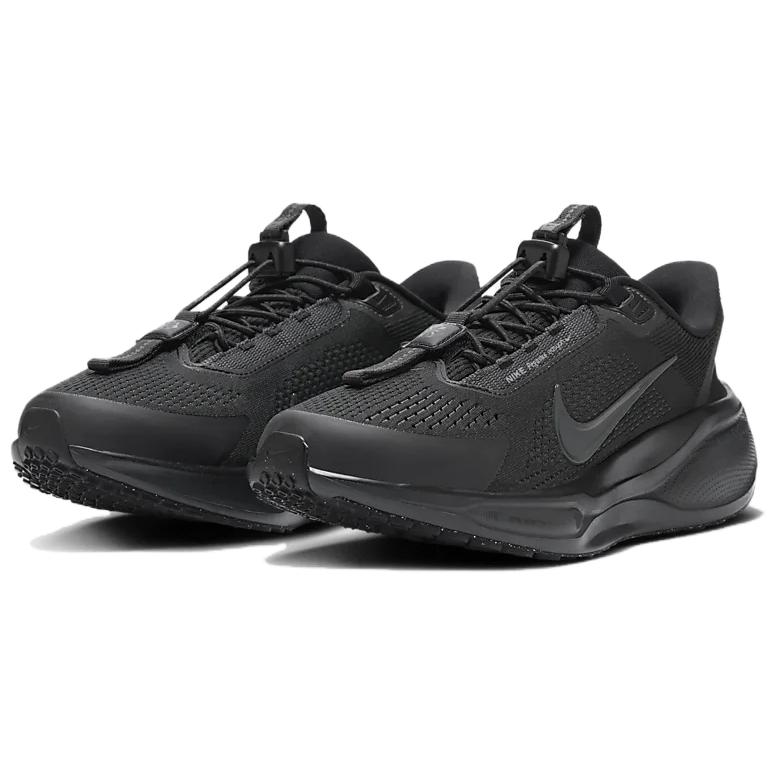 Nike Женские кроссовки Pegasus EasyOn 'Black Anthracite' FQ7844-001