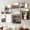 Forest Scenery Poster Prints Nature Landscape Sunlight Grassland Canvas Painting Wall Art Picture for Home Decor Painting Art