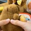 Bag Hanging Capybara Keychain Cute Plush Doll Lovely Capybara Key Pendant  Jewelry Gift