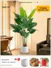 Искусственное дерево Стрелиция - Роскошная зелень для декора гостиной