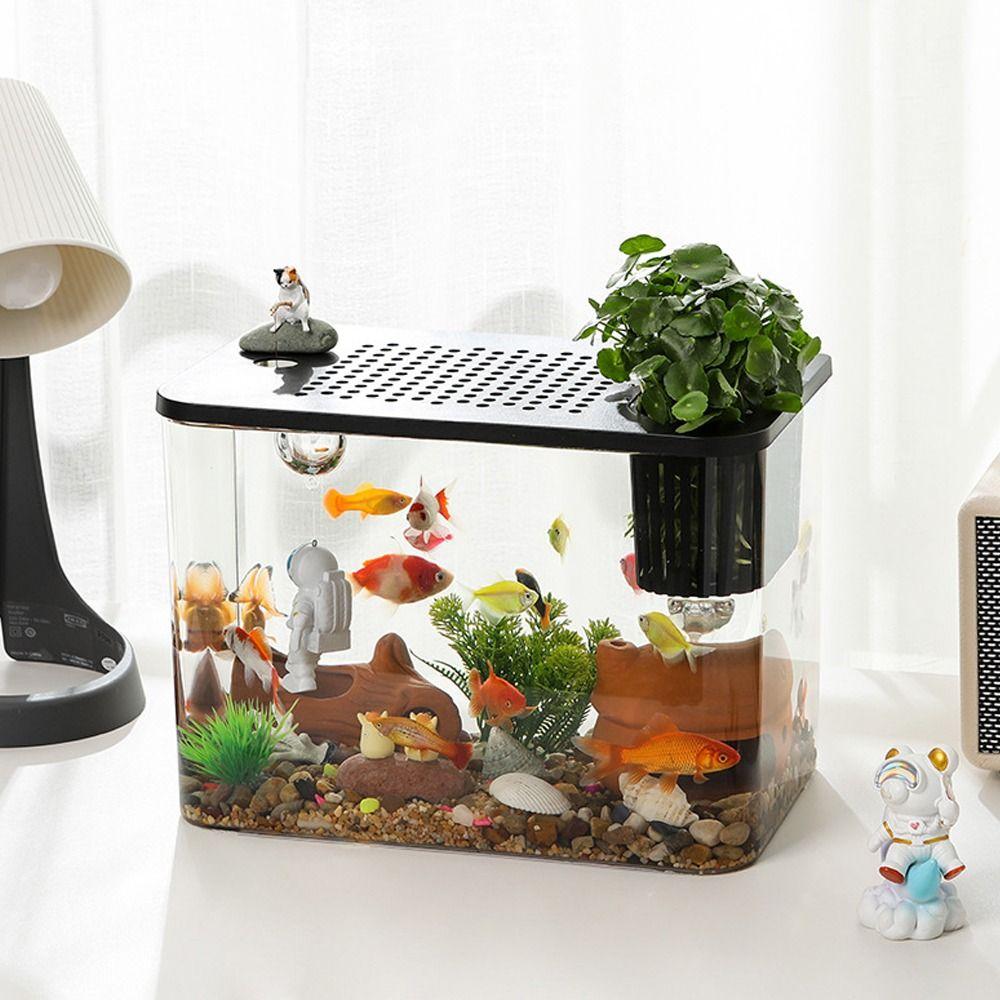 Transparent Desktop Aquarium with Lid Turtle Tank Durable Ecological Water Tank for Home