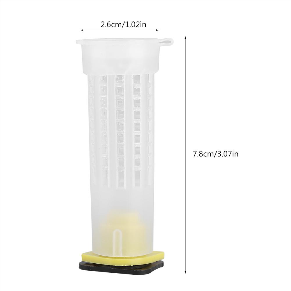 10 упаковок пчеловодческих наборов для выращивания пчелиных маток, клетки для пчелиных маток, роликовые инструменты для пчеловода