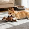 Игрушка для домашних животных Милая Пищащая Плюшевая Собака Щенок Жувательная Игрушка Пищащий Свистящий Белка Дрессировка Щенка Домашнее Животное Зубная Щетка