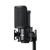 SHURE Condenser Microphone Kit Shock Mount Pop Filter XLR Unidirectional Professional Recording Vocal Instrument Musician YouTube Vtuber Video