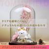 TOMMYFIELD Glass Dome, Cake Dome, Preserved Flower Case, Clear Dome, Decoration (Glass Dome)