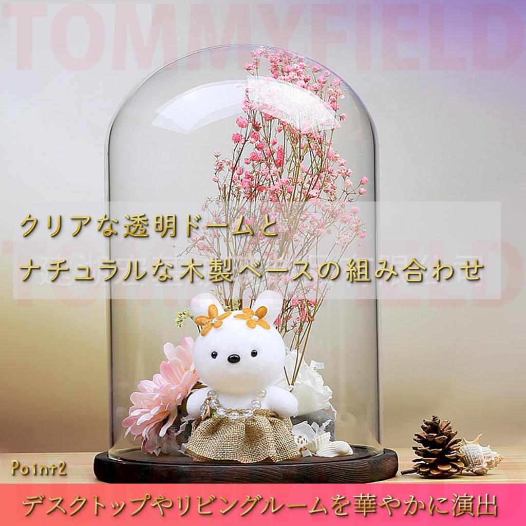 TOMMYFIELD Glass Dome, Cake Dome, Preserved Flower Case, Clear Dome, Decoration (Glass Dome)