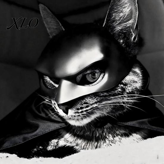 Костюм на Хэллоуин для маленьких питомцев Черная летучая мышь Маска и плащ для кошки, Забавный костюм для собаки, Милый аксессуар для наряда щенка Косплей,