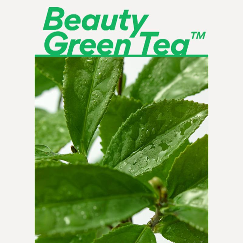 Innisfree Green Tea Seed Hyaluronic Cream 50ml, Safe for Acne-prone Skin & Sensitive Skin (3 Options)