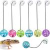 7 Pack Bearded Dragon Toy Kring Ball, Reptile Lizard Toy Ball, Random Colors