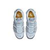 Nike Air More Uptempo 96 Pure Platinum Wolf Grey DZ4516-100