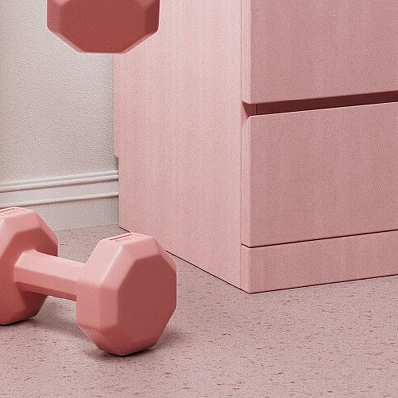 Long Zhan Home Fitness Dumbbell